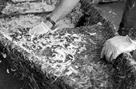 Enrique Martínez Celaya